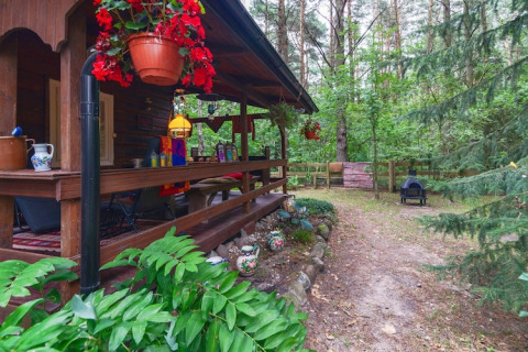 Cabane en bois avec terrasse couverte, fleurs suspendues et vue sur la forêt à Holiday home «Debki», Suède.