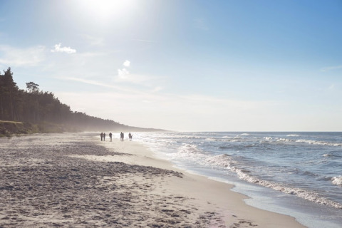 Plage ensoleillée près du Holiday home «Debki» en Suède avec promeneurs et forêt en arrière-plan.