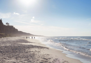 Solrig strand ved Holiday home «Debki» i Sverige med gående personer og skov i baggrunden.