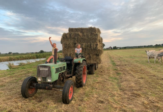 Tractor con niños - Granja camping Swarthoeve - Vodatent - Wormer, Holanda Septentrional, Países Bajos