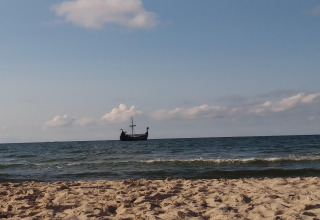 Strand med gyldent sand og et skib med sejl i horisonten under en blå himmel og lette skyer.