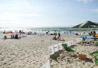 Folk nyder solen på en sandstrand ved havet, med liggestole, parasoller og vindskærme omkring.