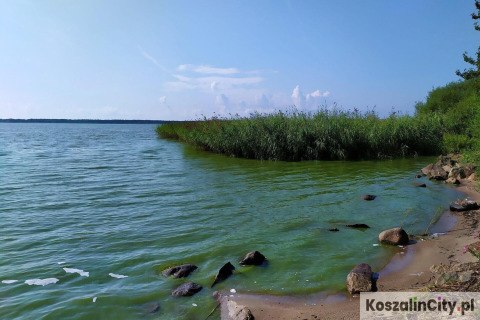 Uitzicht op een meer met riet en stenen bij Summer cottage 70 m2 TYPE B Osieki in Denemarken.