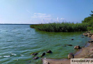 View of a lakeshore with reeds and rocks near Summer cottage 70 m2 TYPE B Osieki in Denmark.