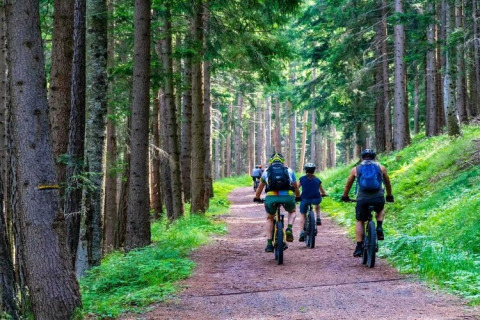Fietsers op een bospad nabij 'Summer cottage 70 m2 TYPE B Osieki', omringd door bomen in Denemarken.
