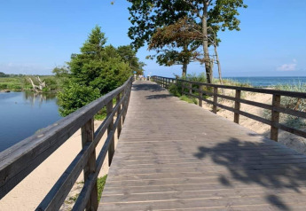 Promenade en bois au bord de l'eau avec arbres à gauche, dunes et mer à droite, journée ensoleillée.