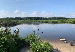 Vredig meer met eenden, riet en bomen vlakbij een huisje in Ustronie Morskie, Denemarken.