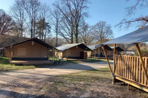 Tentlodges op Camping de Haer in Overijssel, Nederland met houten terrassen en bosrijke omgeving.