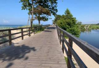 Wooden boardwalk along the beach with ocean and trees, taken near Ustronie Morskie in Denmark