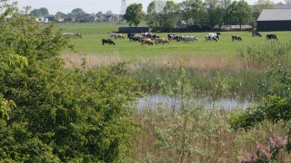 Pradera - Camping de Noorde - Vodatent - Zwartsluis, Overijssel, Países Bajos