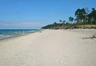 Brede zandstrand met zee en dennen bij Single-storey cottages Jarosławiec, Denemarken, onder blauwe lucht.
