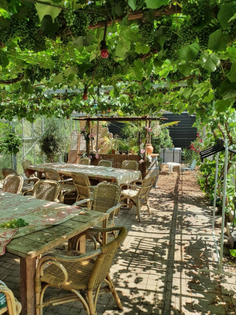 Terrasse - Camping de Oude Rijn - Vodatent - Ter Aar, Südholland, Niederlande