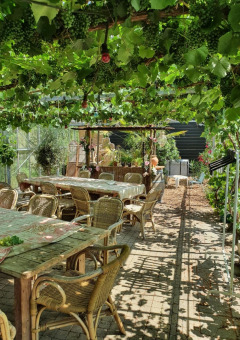 Terrace - Camping de Oude Rijn - Vodatent - Ter Aar, South Holland, Netherlands