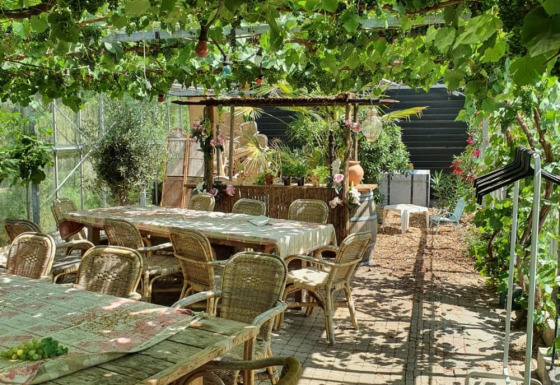 Terrace - Camping de Oude Rijn - Vodatent - Ter Aar, South Holland, Netherlands