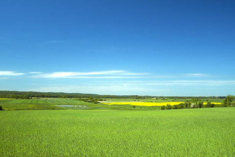 Green fields and a clear blue sky near the Holiday cottage Rusinowo in Denmark on a peaceful summer day.