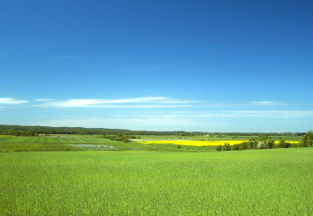 Campos verdes y cielo azul junto a la cabaña Holiday cottage Rusinowo en Dinamarca, paisaje tranquilo.