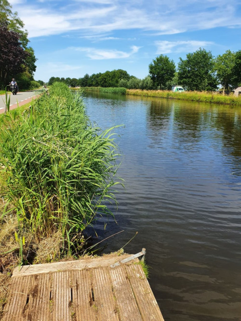 Alrededores - Camping de Oude Rijn - Vodatent - Ter Aar, Holanda Meridional, Países Bajos