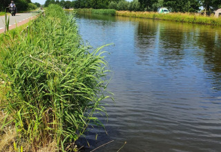Surroundings - Camping de Oude Rijn - Vodatent - Ter Aar, South Holland, Netherlands