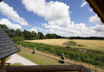 Uitzicht vanaf Highlander cottages ZUMAR Wicie in Denemarken met velden, bomen en een blauwe lucht.