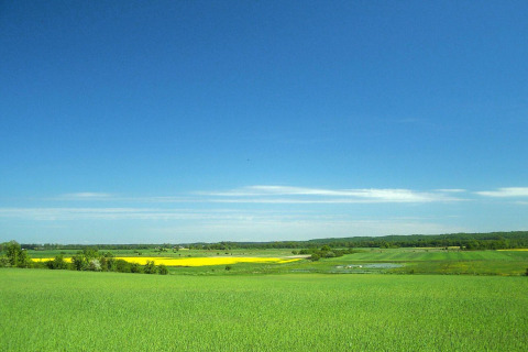Scenic view from Domki letniskowe Rusinowo in Denmark showing green fields, yellow flowers and blue sky.