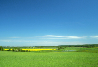 Scenic view from Domki letniskowe Rusinowo in Denmark showing green fields, yellow flowers and blue sky.