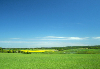 Landschaftsfoto bei Domki letniskowe Rusinowo mit grünen Feldern, gelbem Blütenteppich und blauem Himmel in Dänemark.
