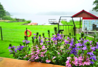 Bunte Blumen im Vordergrund mit grünem Rasen und See bei Domek letniskowy PATRYK Ostrowiec Slawienski.