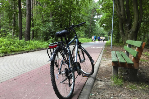 Fiets geparkeerd bij een groene bank op een bospad dichtbij Domki wakacyjne Przewłoka in Denemarken.