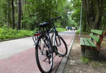 Bicycle parked by a green bench on a forest trail near Domki wakacyjne Przewłoka in Denmark.