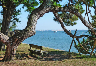 Panchina sotto un albero curvo con vista sul lago e barche, foto scattata presso Holiday home «Le Porge» in Francia.
