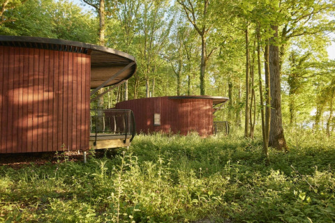 Lodge rotonde in legno tra gli alberi presso The Large Leaf by YourNature, immerse nel verde della foresta.