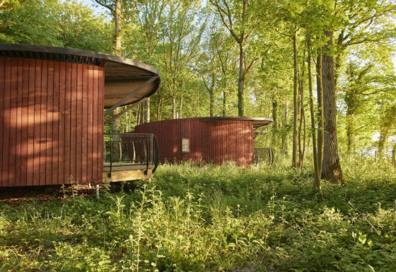 Lodge rotonde in legno tra gli alberi presso The Large Leaf by YourNature, immerse nel verde della foresta.