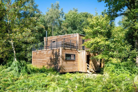 Modern houten huisje bij YourNature glamping, omringd door bomen, varens en groene natuur.