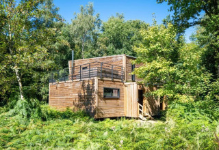 Gemütliches Holzhaus im YourNature Glamping, umgeben von Bäumen und Farnen im Sonnenschein.