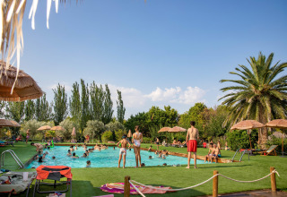 Parque vacacional en Aragón, España, con piscina, palmeras y visitantes disfrutando en TAIGA Lake Caspe al sol.