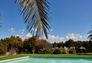 Swimming pool with palm frond in the foreground at TAIGA Lake Caspe holiday park in Aragón, Spain.