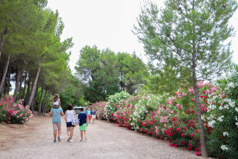 Familias pasean por un sendero rodeado de flores coloridas en TAIGA Lake Caspe, un camping en Aragón.