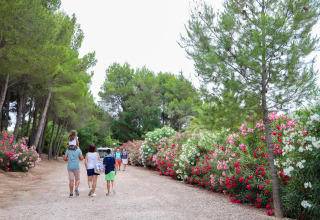 Des familles marchent sur un sentier bordé de fleurs au parc de vacances TAIGA Lake Caspe, en Espagne.