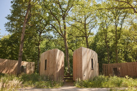Moderne cabine in legno a The Blue Lodge di YourNature, immerse nel verde di una foresta soleggiata.