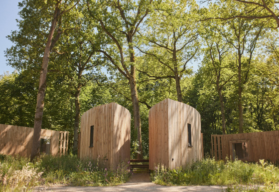 Moderne cabine in legno a The Blue Lodge di YourNature, immerse nel verde di una foresta soleggiata.