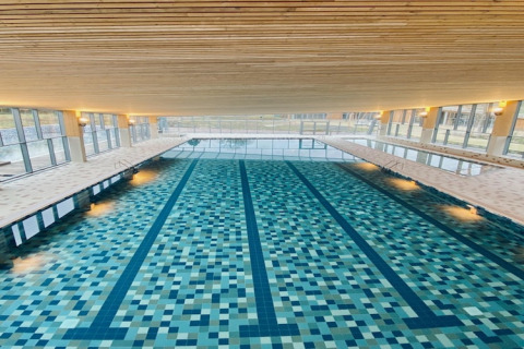Piscina coperta con piastrelle a mosaico e grandi finestre a The Blue Lodge by YourNature in Belgio.