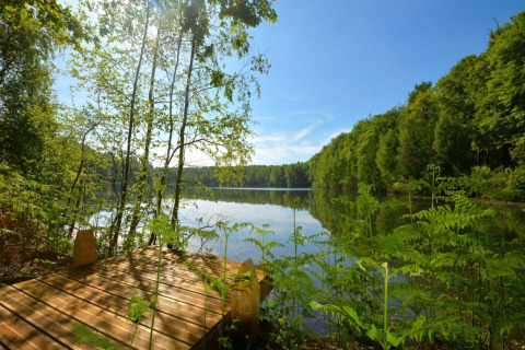 Vista su un lago tranquillo con alberi e terrazza in legno a The Blue Lodge by YourNature in Belgio.