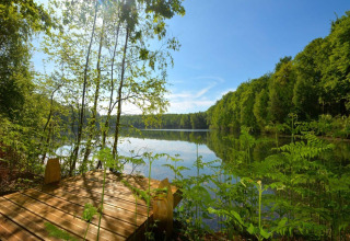 Vista su un lago tranquillo con alberi e terrazza in legno a The Blue Lodge by YourNature in Belgio.
