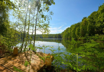 Vista su un lago tranquillo con alberi e terrazza in legno a The Blue Lodge by YourNature in Belgio.
