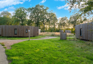 Foto di The Blue Lodge by YourNature, piccoli lodge in legno immersi nel verde e alberi in Belgio.