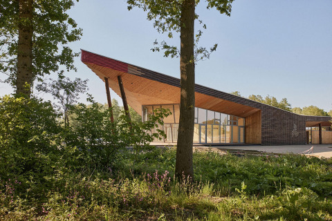 Tiny house moderna chiamata The Blue Lodge by YourNature in Belgio, immersa tra alberi e vegetazione.