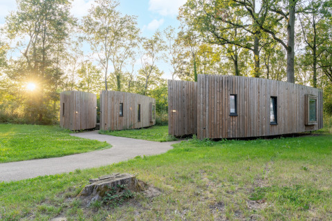 Tiny house in legno di The Blue Lodge by YourNature in Belgio, immerse nel verde e tra gli alberi.