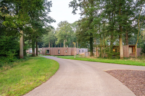 Sentiero tranquillo con alberi davanti a The Blue Lodge by YourNature, un tiny house in Belgio.