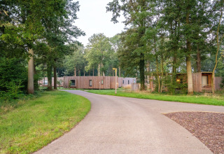 Sentiero tranquillo con alberi davanti a The Blue Lodge by YourNature, un tiny house in Belgio.