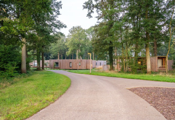 Chemin paisible bordé d'arbres devant The Blue Lodge by YourNature, un tiny house en Belgique.